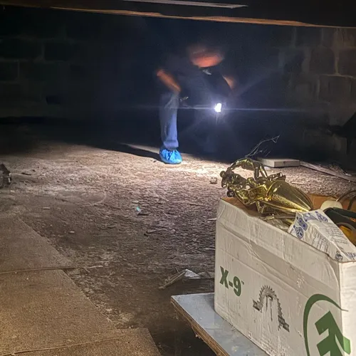 Inspector checking a dark crawlspace with a flashlight during a Philadelphia mold inspection